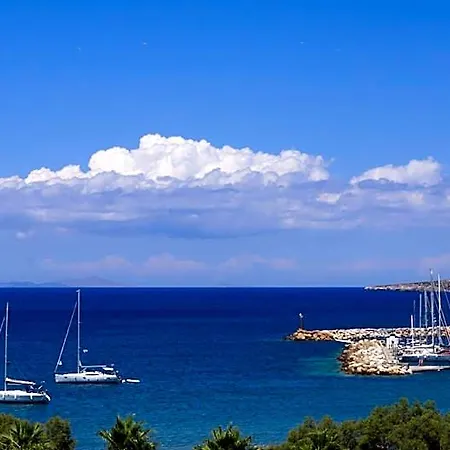 شقة فندقية Alexandros ناوسا